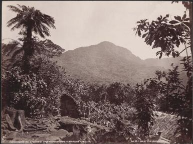 Houses at Ligoro, Ureparapara, Banks Islands, 1906 / J.W. Beattie