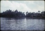 Tukwaukwa village on Kiriwina: houses and coconut palms seen across a bay