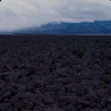 [Landscape view of a field with a volcanic rock surface from Saddle Road, United States]