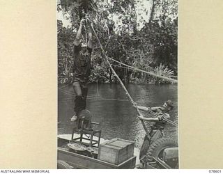 BOUGAINVILLE ISLAND. 1945-01-24. VX111799 BOMBARDIER F. FLANAGAN (1) AND NX122075 GUNNER J.J. STEPHENS (2) NO.6 BATTERY, 2ND FIELD REGIMENT, REPAIRING THE UNIT TELEPHONE LINE TO MAWARAKA WHERE IT ..