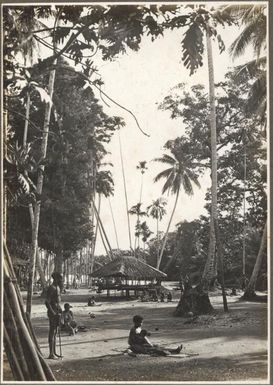 Coira Village, [Papua New Guinea, 2]
