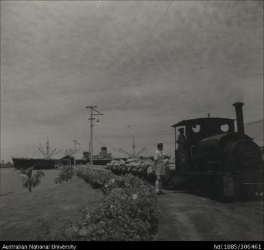 Cane train