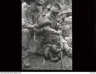 MOMOTE, LOS NEGROS ISLANDS, ADMIRALTY ISLANDS. 1944-03-08. SPORTING EQUIPMENT FOLLOWS THE RAAF'S MOST FORWARD TROOPS. LEADING AIRCRAFTMAN (LAC) A. K. GOUGH, LAUNCESTON, TAS, TRIES ON A PAIR OF ..