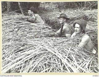 1943-10-08. NEW GUINEA. MARKHAM VALLEY. ARTIRIGAN. LEFT TO RIGHT IN FORWARD POSITIONS AT ANTIRIGAN AND SAPPERS R. MCKINROCK, J.P. PELLY, W. BRADLEY. (NEGATIVE BY G. SHORT)