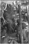 Pig festival, wig ritual, Tsembaga: men with red wigs under construction sit in shelter by men's house