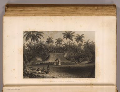 Cocoanut grove at Fakaafo or Bowditch I. Painted by A.T. Agate. Engraved by J. Smillie. Philadelphia: Lea & Blanchard. 1845)