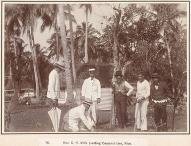 C.H. Mills planting a coconut palm, Niue, 1903
