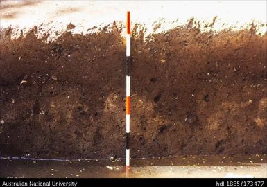 SAD/V, centre of South profile