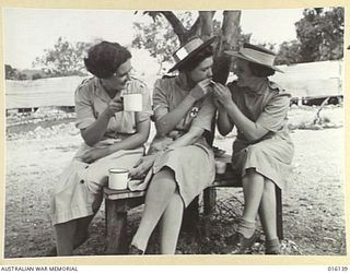 NEW GUINEA. 1943-11-17. MEMBERS OF THE AUSTRALIAN ARMY MEDICAL WOMEN'S SERVICE (AAMWS) HAVING A CUP OF TEA AND A CIGARETTE. SEATED ON A STOOL UNDER THE TREE ARE, PRIVATE (PTE) L. WRIGHT OF ..