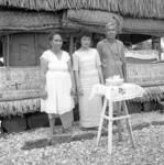 Portrait of bride and family