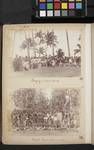 Bringing a present, Samoa; Group of Samoans, women and men, [c1880 to 1889]