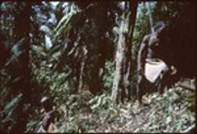 Mr. Laubasi and Mrs. Boori'au at foot of canarium almond tree