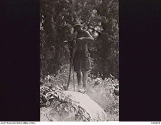 BULLDOG-WAU ROAD, NEW GUINEA, 1943-07-10. SAPPER W. FAIRLIE OF HEADQUARTERS, ROYAL AUSTRALIAN ENGINEERS, 11TH AUSTRALIAN DIVISION, DRILLING FOR BOREHOLE CHARGES IN ROCK AT THE 11 MILE POINT