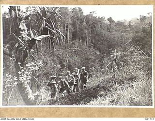 WAREO, NEW GUINEA. 1943-12-09. TROOPS OF MORTAR DETACHMENT 2/23RD AUSTRALIAN INFANTRY BATTALION MOVING THEIR MORTAR AND SUPPLIES TO A NEW POSITION. SHOWN ARE: VX40086 SERGEANT K. E. MCLEAN (1); ..