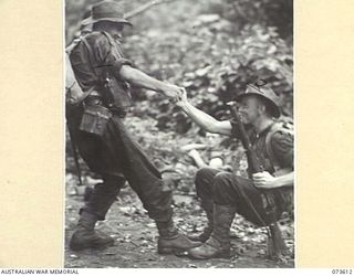 GAMAN, NEW GUINEA. 1944-05-27. NX120756 PRIVATE A.L. CLEMSON, OF B COMPANY, 35TH INFANTRY BATTALION ASSISTS PRIVATE K.W. WOODS, 5TH DIVISION CARRIER COMPANY (2), TO HIS FEET DURING THEIR ADVANCE ..