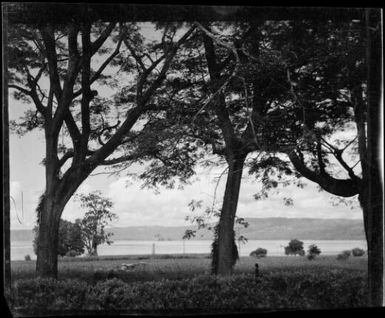 Malaguna Road, Rabaul, New Guinea, ca. 1929 / Sarah Chinnery