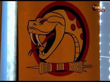 VIPERS ACADEMY LAUNCH