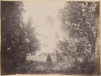 Satawan atoll, 1886
