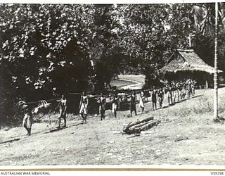 ULUGUDU, NEW GUINEA, 1943-10-23. LINE OF THE AUSTRALIAN AND NEW GUINEA ADMINISTRATIVE UNIT NATIVE CARRIER BOYS. THE FIRST TWO LOADS ARE CAPTURED JAPANESE MATERIAL