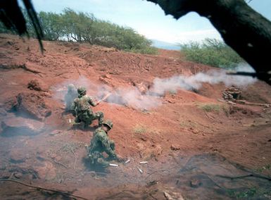 A combined live fire exercise is conducted by the 2nd Brigade, Infantry Division, during annual training