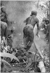 Pig festival, uprooting cordyline ritual, Tsembaga: man leaps on hot stones while stabbing red pandanus fruit with cassowary bone