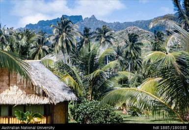 Tahiti - building among palm trees