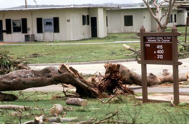 An uprooted tree is just one example of damage to the base housing area caused by Typhoon Omar. The storm struck the area on August 29th, severely damaging Andersen; Naval Station, Guam; and the surrounding area