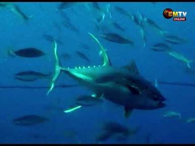 FISHING COMPANIES CONSULTED