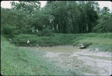 The remains of Arawa plantation swimming pool : Bougainville Island, Papua New Guinea, April 1971 / Terence and Margaret Spencer