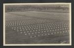 Bomana War Cemetery before completion, Port Moresby, c1949