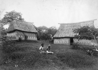 Fijian houses