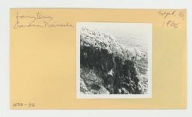 [Fairy terns in Hawaii, envelope IE30-112]
