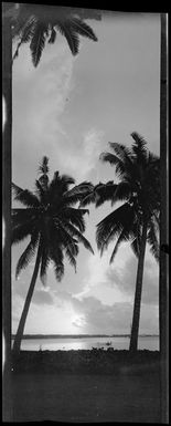 View near Apia, Samoa, across a belt of sand to water and reef beyond, and palm trees