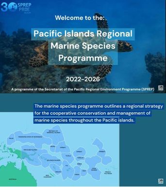 Introduction to the Marine Species Programme