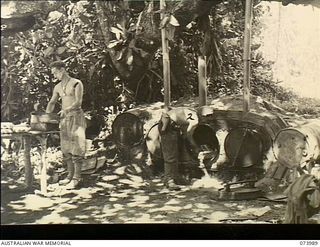 DUGUMUR BAY, NEW GUINEA. 1944-06-14. NX156259 PRIVATE G. C. CAMERON (LEFT) AND WX39948 PRIVATE D. N. ASHTON, MEMBERS OF 4TH INFANTRY BATTALION, REMOVING BREAD ROLLS FROM OVENS WHICH HAVE BEEN ..