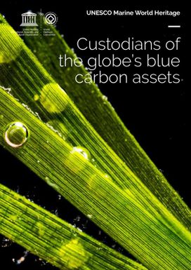 Custodians of the globe’s blue carbon assets