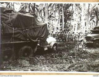 LANGEMAK AREA, NEW GUINEA, 1943-11-01. TROOPS OF THE 870TH UNITED STATES ENGINEER AVIATION BATTALION LINE UP AT THEIR MESS PARADE IN THE COCONUT PLANTATION