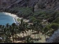 Hawaii 1953--Caldwell--home movies