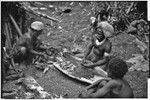 Pig festival, uprooting cordyline ritual, Tsembaga: men strip seeds from pandanus fruit, to be cooked or squeezed for oily juice