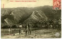 Tahiti - Pêcheurs au filet dans la Baie de Papara