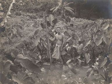 Man standing in a field. From the album: Photographs of Apia, Samoa