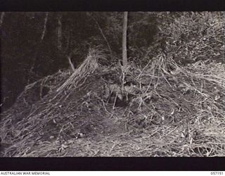 SOGERI VALLEY, NEW GUINEA. 1943-09-24. CLOSE UP OF PILLBOX SHOWING WHERE BOMB FROM A PROJECTOR INFANTRY TANK ATTACK MARK 1 HAS PENETRATED THROUGH A LOG AND GONE INTO THE DUGOUT