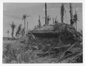 [Dugout on Guadalcanal]