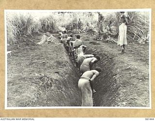 DUMPU, NEW GUINEA. 1943-12-06. NATIVES EMPLOYED BY THE 18TH AUSTRALIAN ANTI-MALARIAL CONTROL UNIT AT WORK DIGGING A TRENCH WHICH IS TO DRAIN A SWAMP IN THE AREA