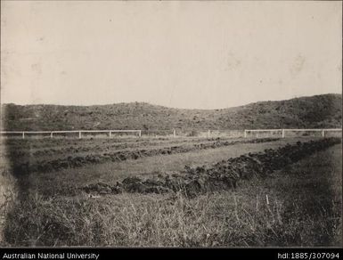 Indian Agricultural Show, Ba