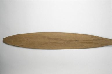 paddle