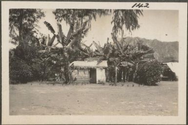 Hut surrounded by palms, New Britain Island, Papua New Guinea, probably 1916