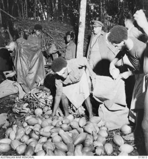 1942-11-19. NEW GUINEA. KOKODA. AN AUSTRALIAN OFFICER IN CHARGE OF THE NATIVES BUYS FRUIT FROM NATIVES IN A VILLAGE THAT HAS JUST BEEN TAKEN FROM THE JAPANESE. PAYMENT IS MADE ON THE BARTER ..