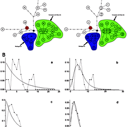 Population genetic analyses of lineage I of the RrC.