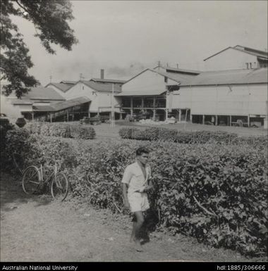 Young man at Sugar Mill